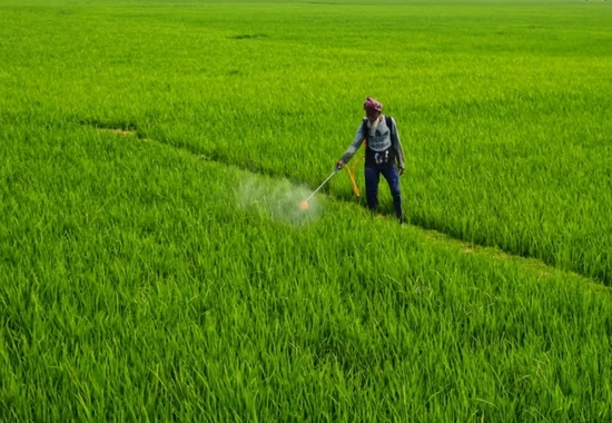 iFarmer to work with Winrock for farmers’ climate resilience