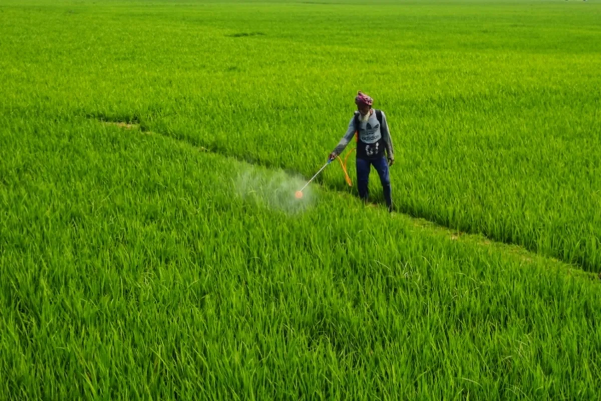 iFarmer to work with Winrock for farmers’ climate resilience
